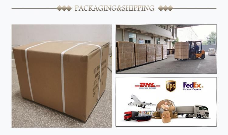 Roll-on Bottle Packaging Clear Custom Roller Ball Lipgloss Tube