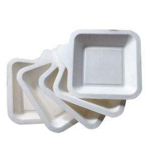 Small Plate with Bleached Bagasse Pulp