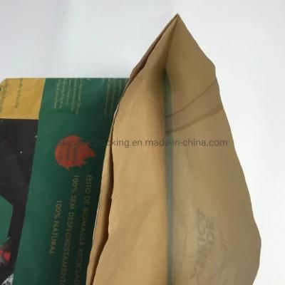 Double Kraft Paper High Quality 7lb 10lb 15lb 20lb 40lb 2kg 3kg 5kg 8kg Charcoal Packaging Bag
