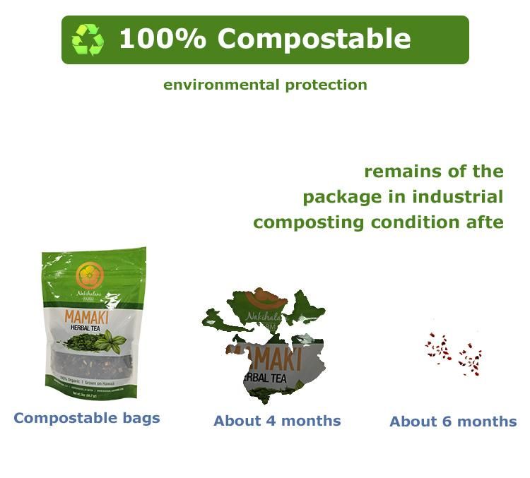 New Style Colorful Pringing Compostable Stand up Pouch