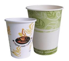 Disposable Paper Cup/Paper Bowl/Instant Noodles Bucket