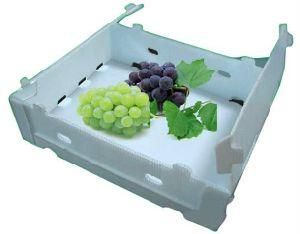 Reusable Collapsible Polypropylene Corrugated Plastic Blueberry Packaging Box