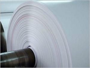 PE Coated Paper for All Kinds of Paper Cup