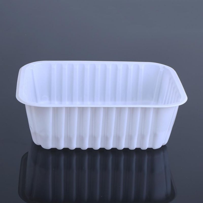 New Craft Made in China International Market Popular Design Plastic Eco Friendly Plastic Frozen Food Tray Packaging