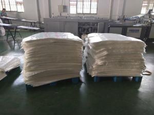 High Quality PP Woven Bag/Rice Bag/Bag for Flour