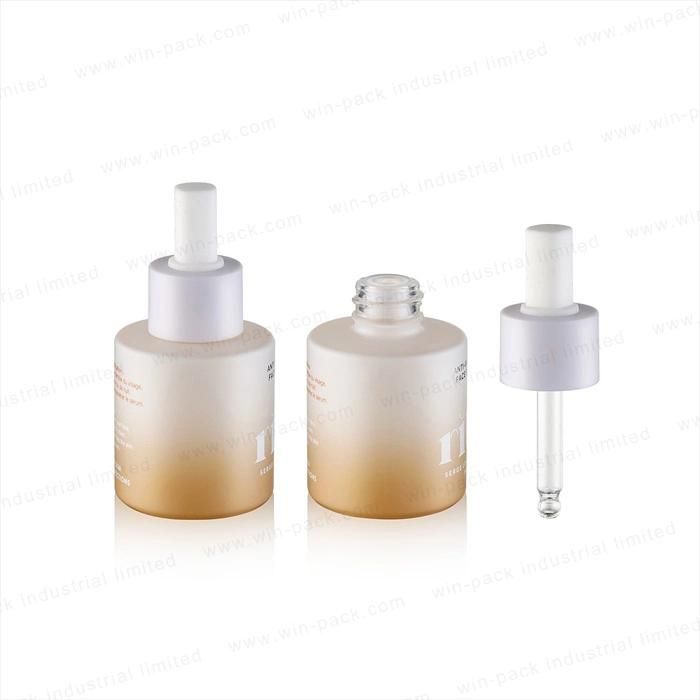 Custom Euro Gradient Color Glass Dropper Bottles with Square Shape Rubber Head