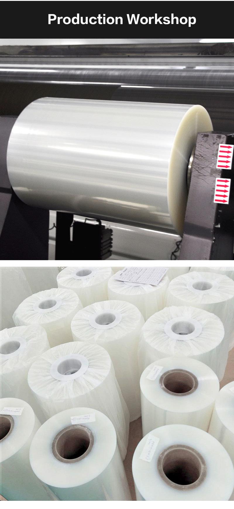 PA/EVOH/PE Plastic Thermoforming Film for Food Packaging