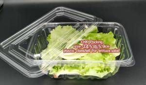 Wholesale New Arrival Frozen Salad Clamshell Fruit Plastic Packaging Container Punnet