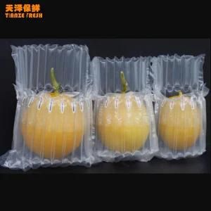 Shock Resistant Inflatable Wine Bottle Protector Air Column Bag Packaging