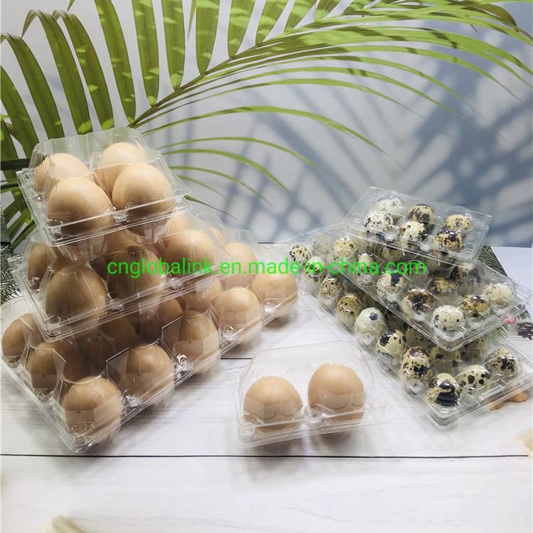 Plastic Egg Packing Container Plastic Packaging with Egg Tray