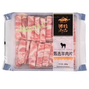 ISO SGS Vacuum Storage Bag for Meat