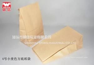 Plain Brown Kraft Paper Bag