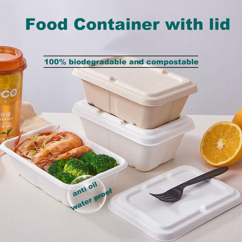 Restaurant Compostable Take out Box Disposable Containers with Lids