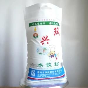 Hot Sale Custom Eco-Friendly 10kg Flour Bag