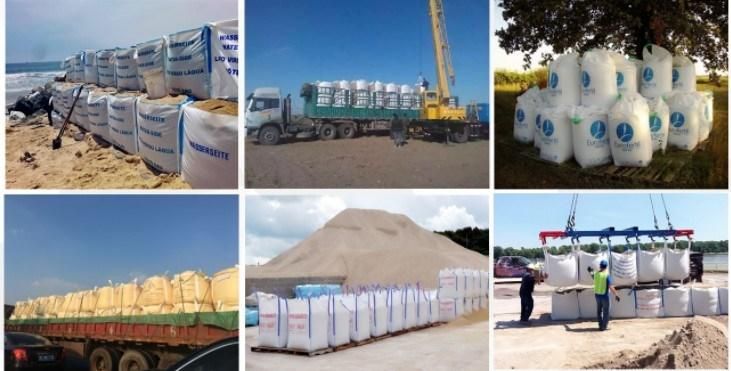 500kg 1000kgs 1500kgs 2000kgs Container FIBC PP Big Jumbo Bulk Bags