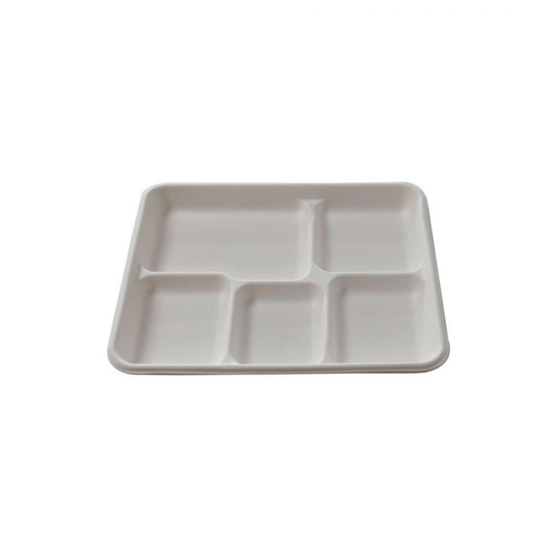 Custom Packaging White Nature Sugarcane Bagasse Lunch Boxes with Lid Food Packaging Box Take Away Food Container