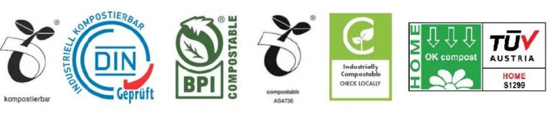 Bio-Degradable Pbat PLA Starch Biodegradable Compostable Shopping Bag Film Bags