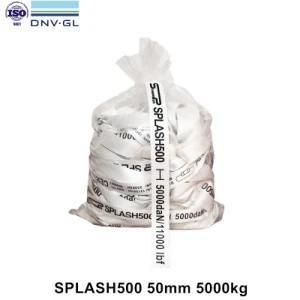 DNV GL, ISO9001 Certificate 50mm 5000 daN Lashing Strap for Heavy Duty Packing