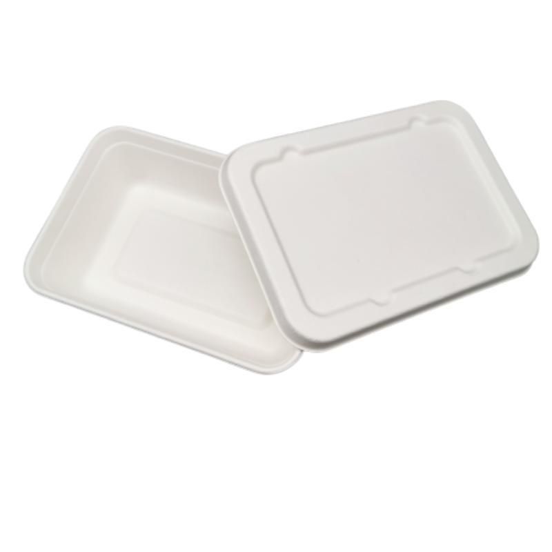 Restaurant Compostable Take out Box Disposable Containers with Lids