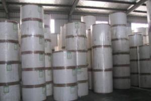 PLA Coated Paper for Making Paper Plates Raw Material