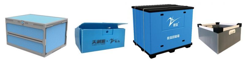 Corrugated Plastic Box for Vegetable and Fruit Boxes for Seafood Boxes of Correx Boxes and Coroplast Box