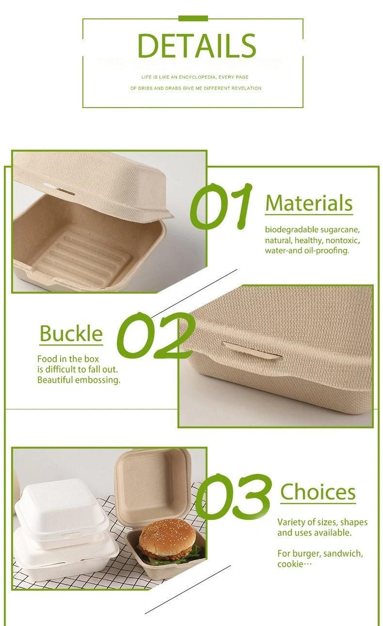 Biodegradable Bagasse Bento Cake Sandwich Burger Lunch Food Takeaway Paper Box