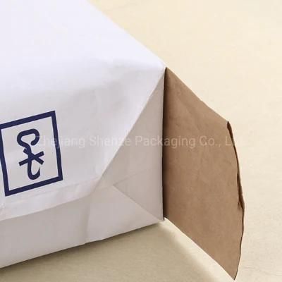 Trustworthy China 25kg PP Woven Kraft Paper Cement Bag Supplier