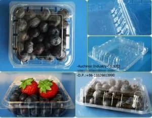 Clear Clamshell Blister Packing Plastic Disposable Packaging