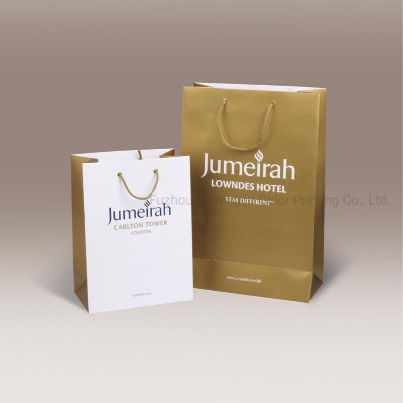 Fashion Color Coated Paper Custom Made Paper Shopping Bag