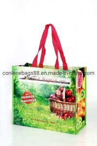 OEM High Quality Special Design Wholesale Woven Bags with 15kgs Loading
