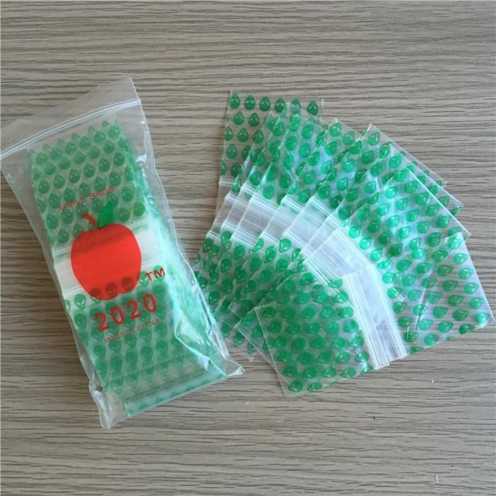 Custom Zipper Packaging Plastic Storage Large and Mini Ziplock Bag