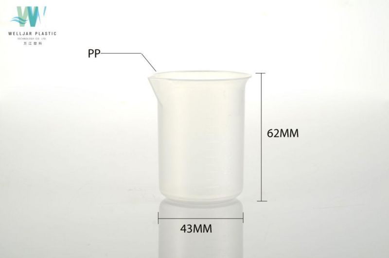 Plastic PP Transparent Funnel