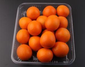 Disposable Plastic Container Pet Transparent Tray Fruits Tray