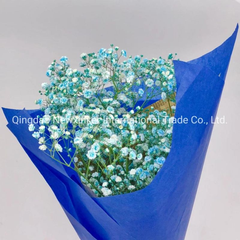 24-40GSM Color Glassine Paper Factory Whole Sales for Packing