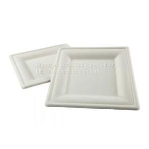 Disposable Square Plates: Compostable Diamond Collection - Ss-Sdp810