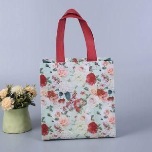 Customized Color Printed Non Woven Shopping Bag with Logo