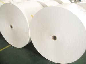 Food Grade Single Side PLA Coated Paper for Paper Cup