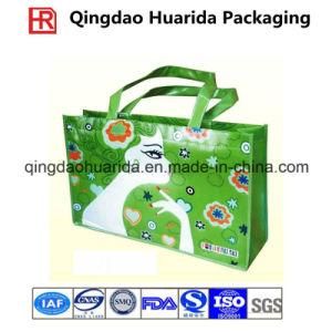 Water Proof Non-Woven Polypropylene Fabric Bag for Shopping
