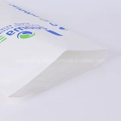 Large 6 Color Eco Friendly Flat Bottom Kraft Paper Bag