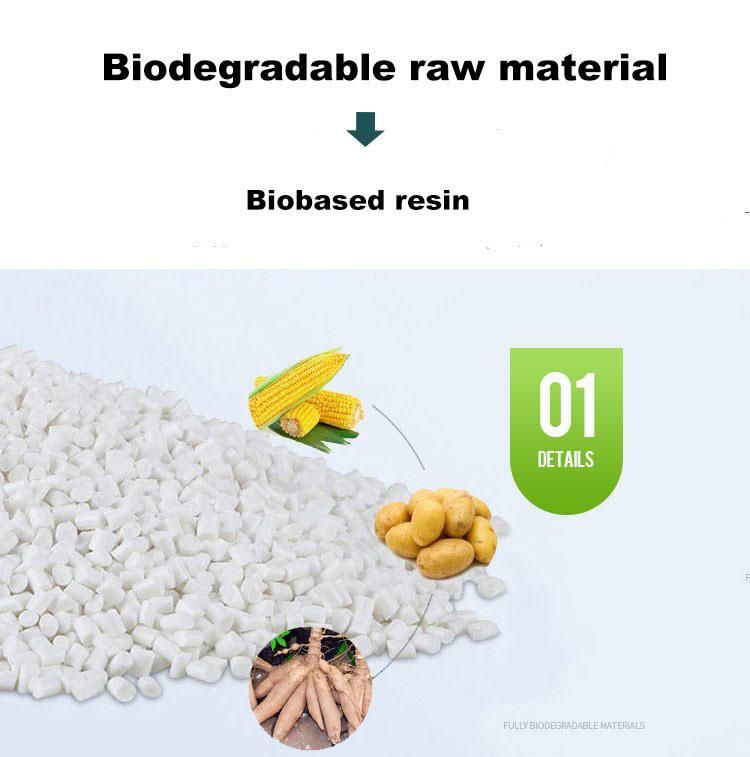 Plastic Biodegradable Compostable T Shirt Shopping Bag