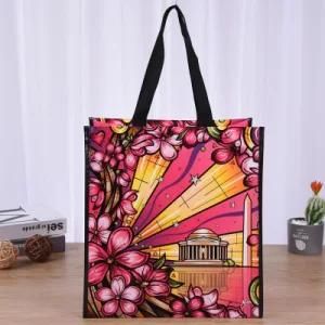 Customized New Design PP Nonwoven Bag Laminated Non Woven Colorful Bags