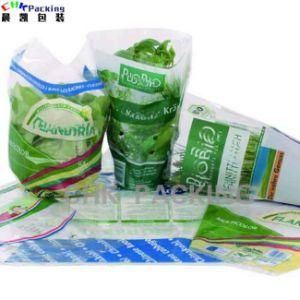 Fresh Vegetable Bag OPP CPP Packing for Lettuce Herb Sleeve
