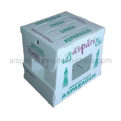 Fresh Okra Grape Asparagus Cartonplast Correx Corflute Packing Box