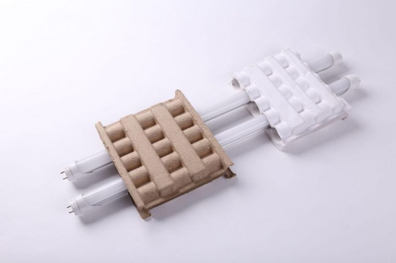 Sugarcane Bagasse Packaging Light Molded Pulp Tray Manufacturer