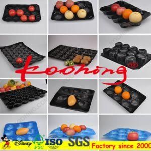 PP/PVC/PS Black Fruit Packaging Shed/Transparent Fruit Packing Tray for Apple Kiwi.