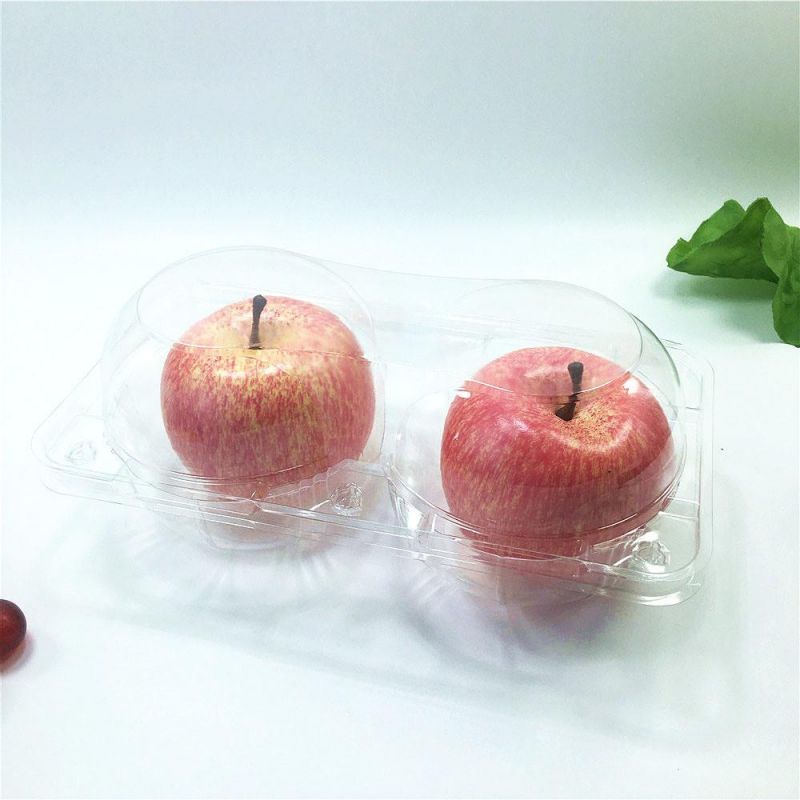 Plastic Food Fruit Packaging with Lid