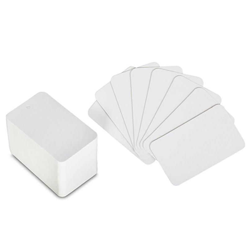 Customized Paper Tag for Clothing (5900-3)