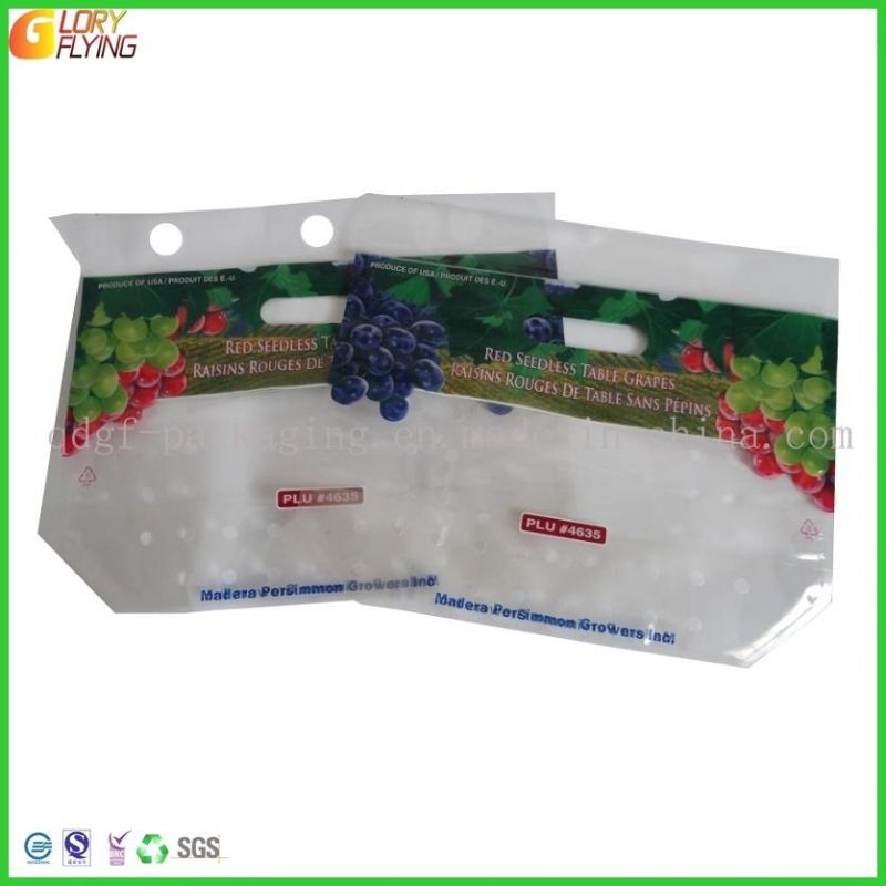 Fresh Vegetable and Fruit Food Packaging Bag with Flap and Perforation.