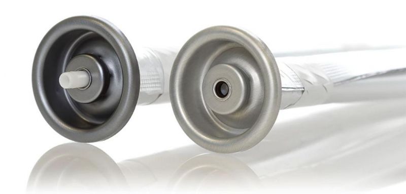 Personal Care Customized Aluminium Aerosols Snow Spray Can Screw Aluminum Bottle for Beer/Coffee/Water