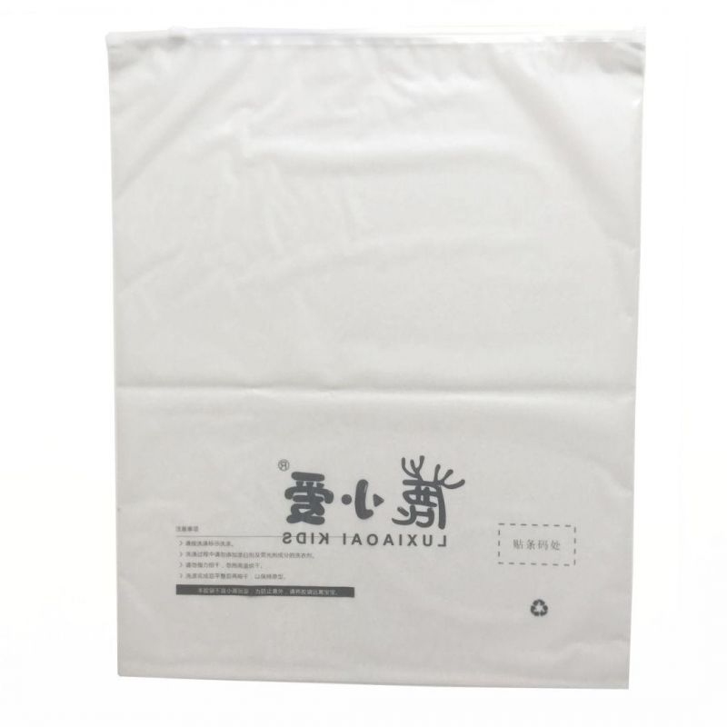 PE Plastic Bag Packaging Bag for Garment OEM Poly Bag